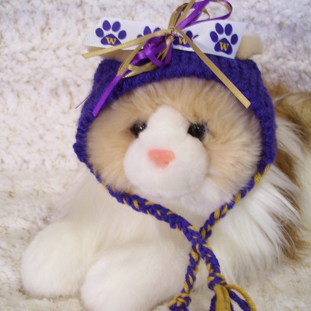 UW University Of Washington Huskies Cat Hat *NEW*
